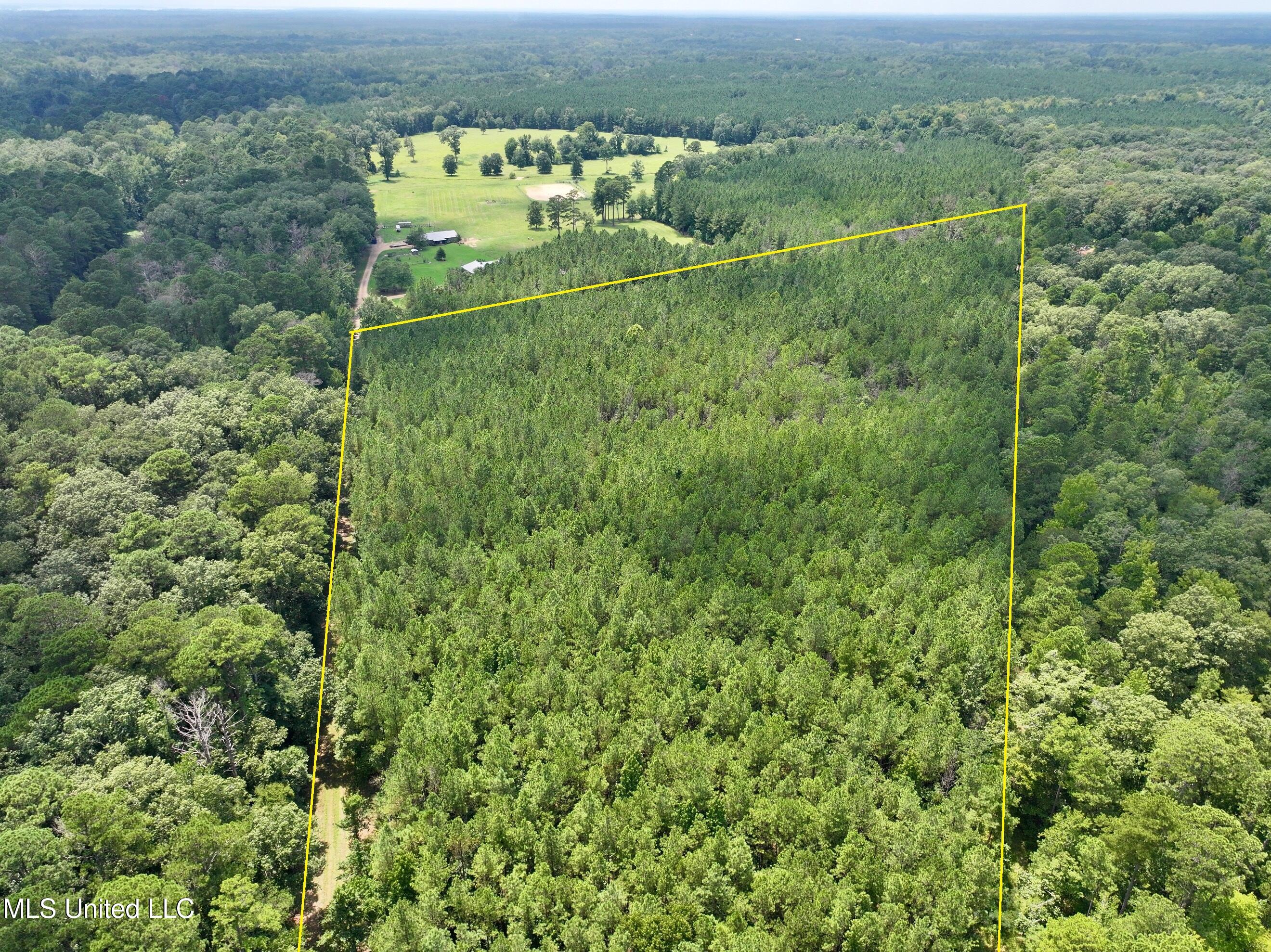 Miggins Road Canton, MS 39046 - Photo 7 of 9 dji_fly_20250801_131912_0007_17543043600