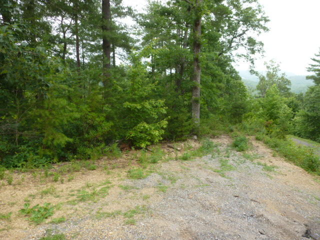 Kelly Ridge Road Townsend, TN 37882 - Photo 12 of 22 P1060860