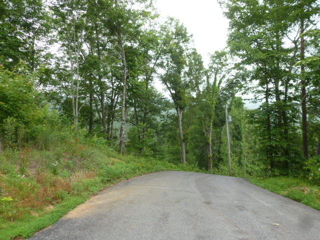 Kelly Ridge Road Townsend, TN 37882 - Photo 6 of 22 P1060854
