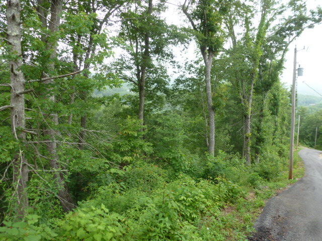 Kelly Ridge Road Townsend, TN 37882 - Photo 7 of 22 P1060856