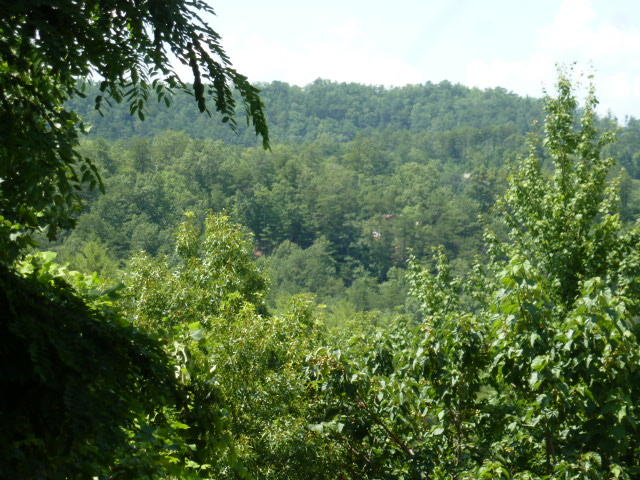 Kelly Ridge Road Townsend, TN 37882 - Photo 9 of 22 P1060957