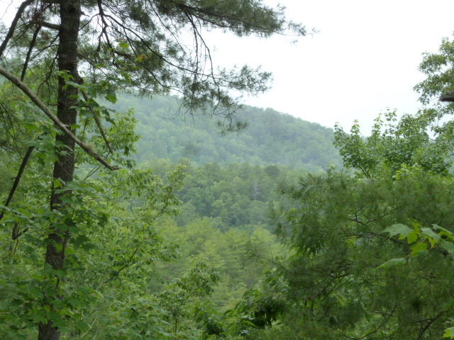 Kelly Ridge Road Townsend, TN 37882 - Photo 10 of 22 P1060862