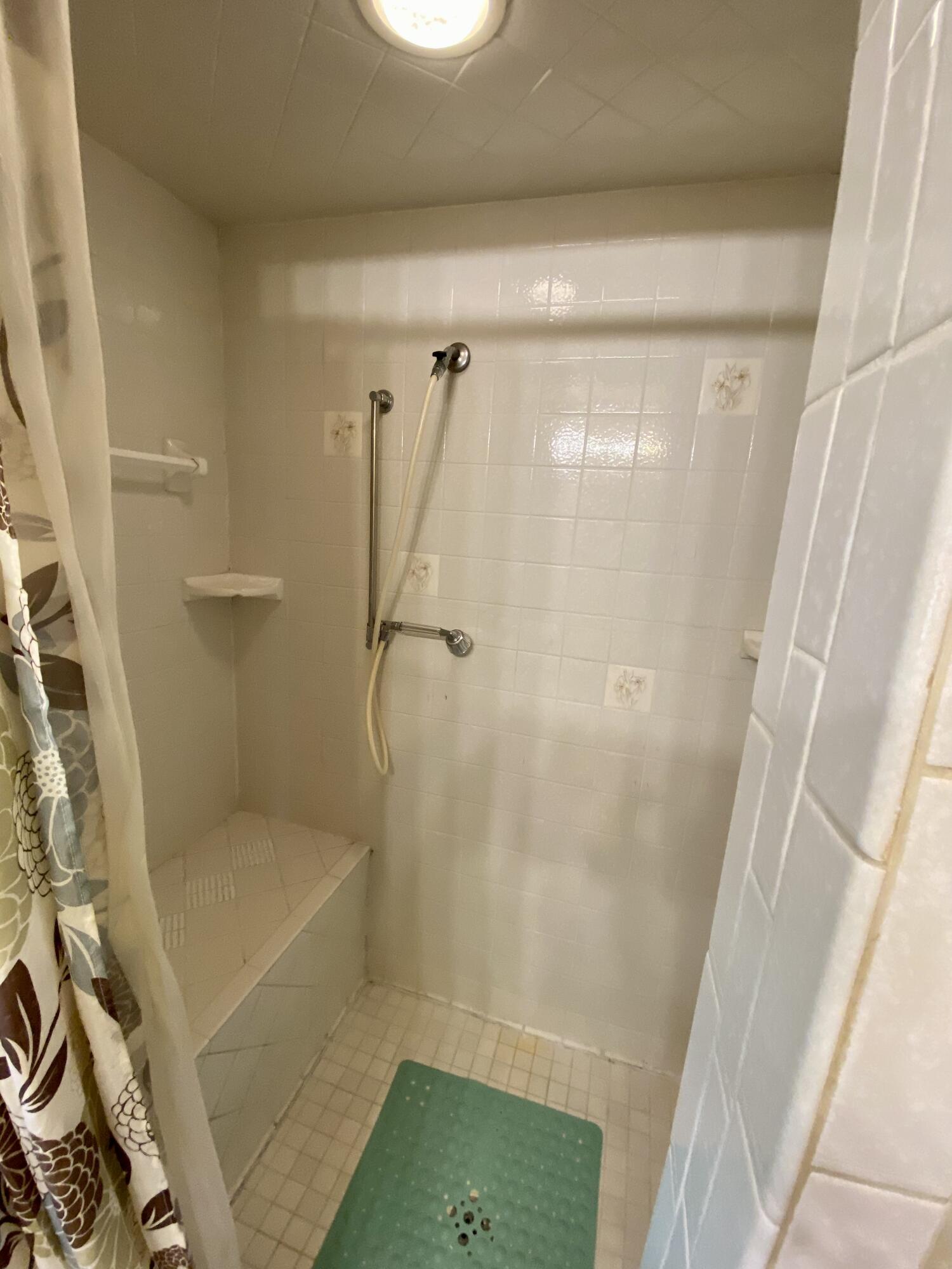 9115 Johnson Road Kaleva, MI 49645 - Photo 17 of 36 Walk in shower