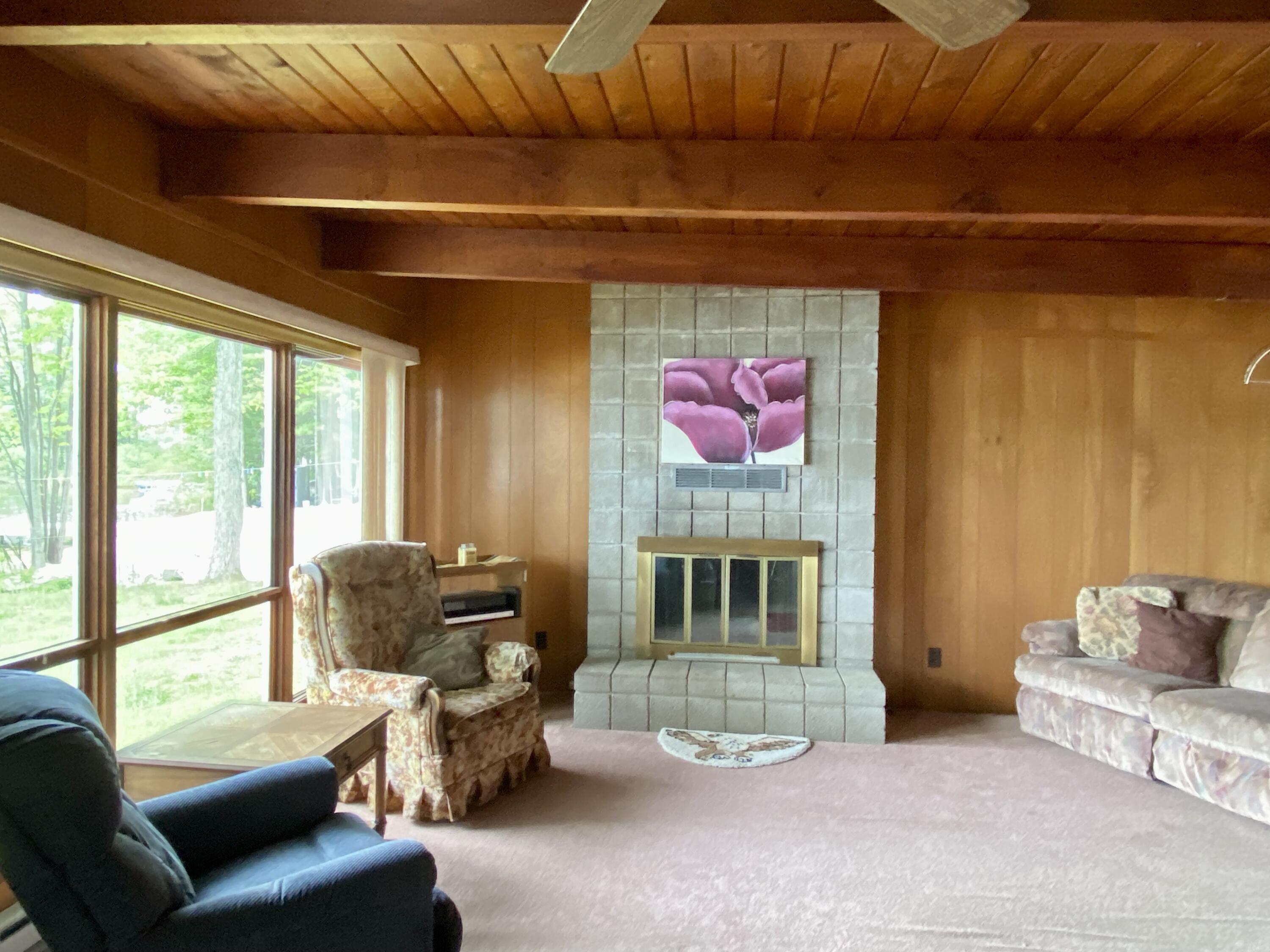 9115 Johnson Road Kaleva, MI 49645 - Photo 8 of 36 Natural gas fireplace