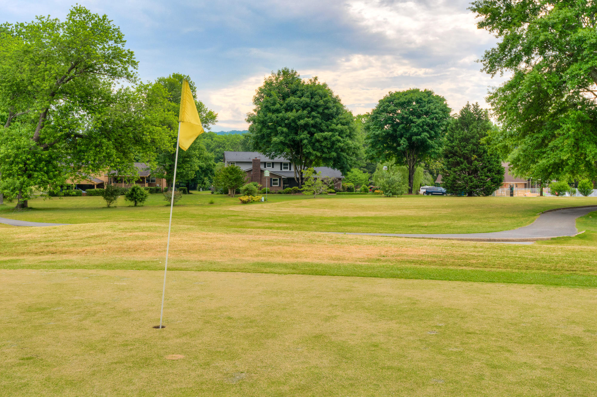 305 Valleybrook Road Hixson, TN 37343 - Photo 33 of 34 xgolf_1