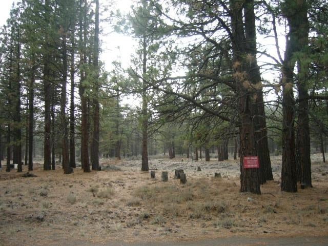 4.29 Acres Antelope Road Macdoel, CA 96058 - Photo 2 of 14 Gallery Image 2