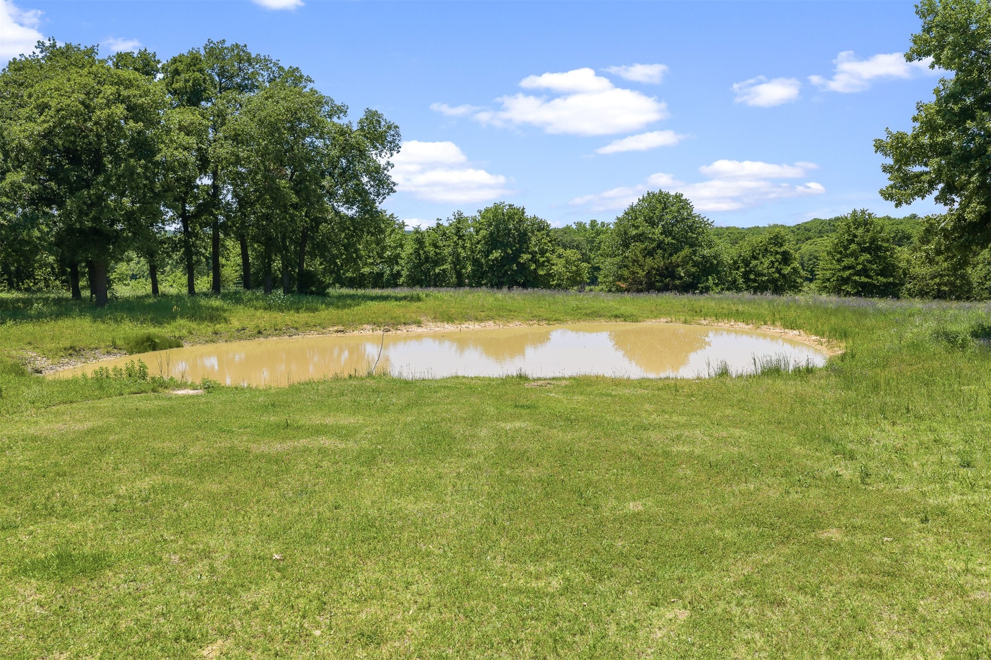 831 Barrons Ridge Wilson, OK 73463 - Photo 33 of 47 Surface pond with surrounding grassy banks and mature trees