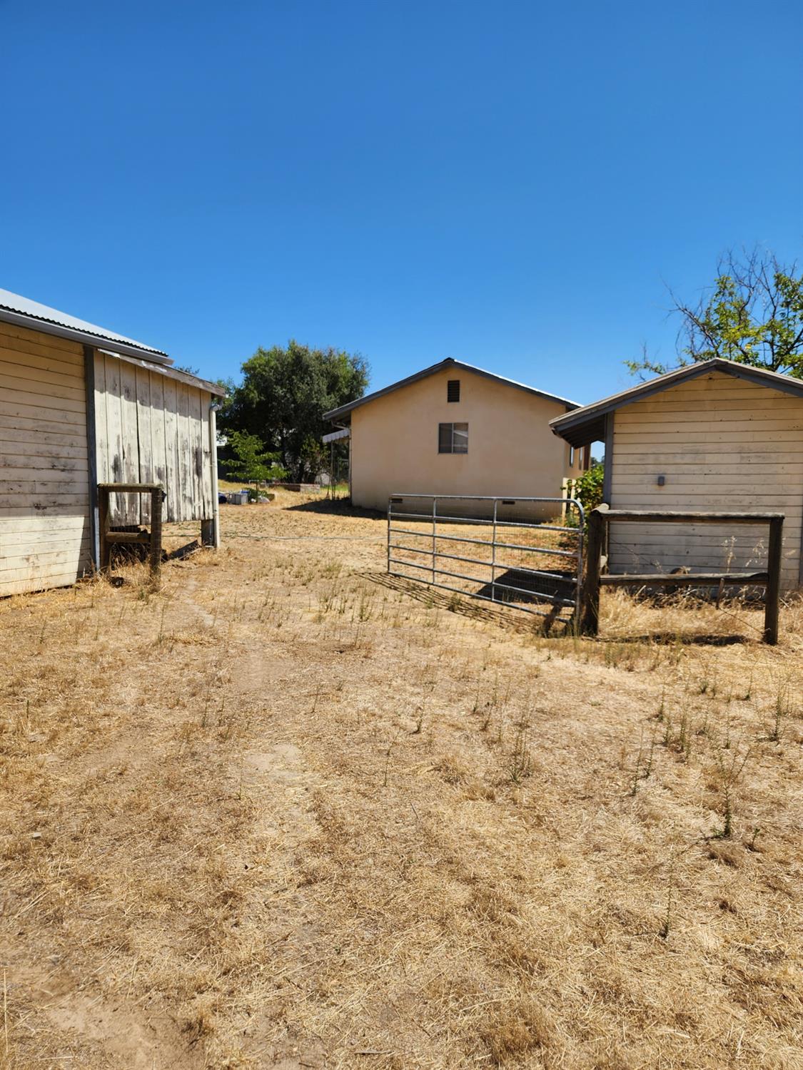 25735 Wellbarn Road Clovis, CA 93619 - Photo 9 of 28 Gallery Image 9