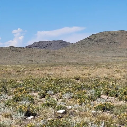 $90,000 | 120-acres 1st Street, Sanford, CO 81151