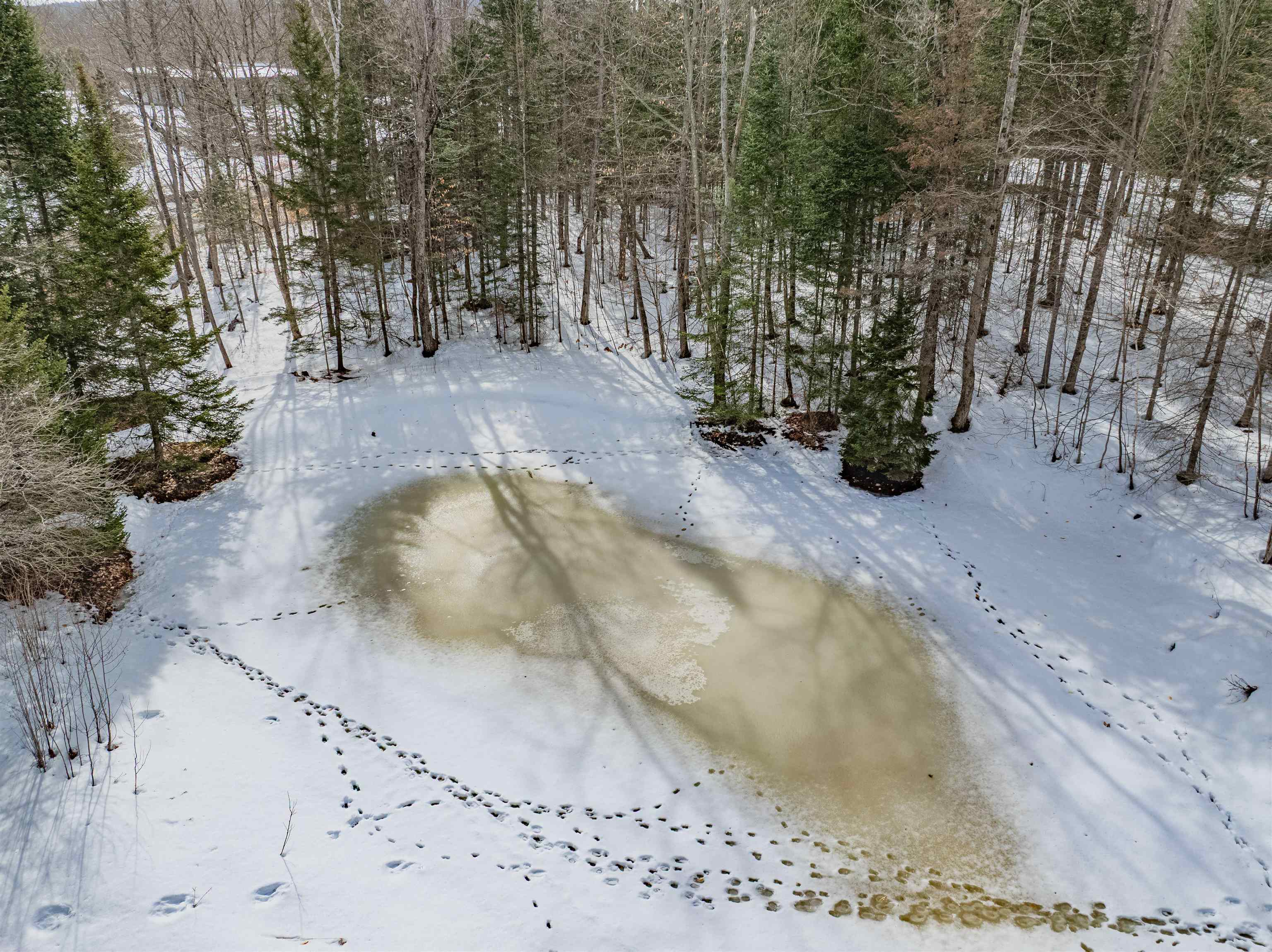 289 Middle Road Barre Town, VT 05654 - Photo 7 of 60