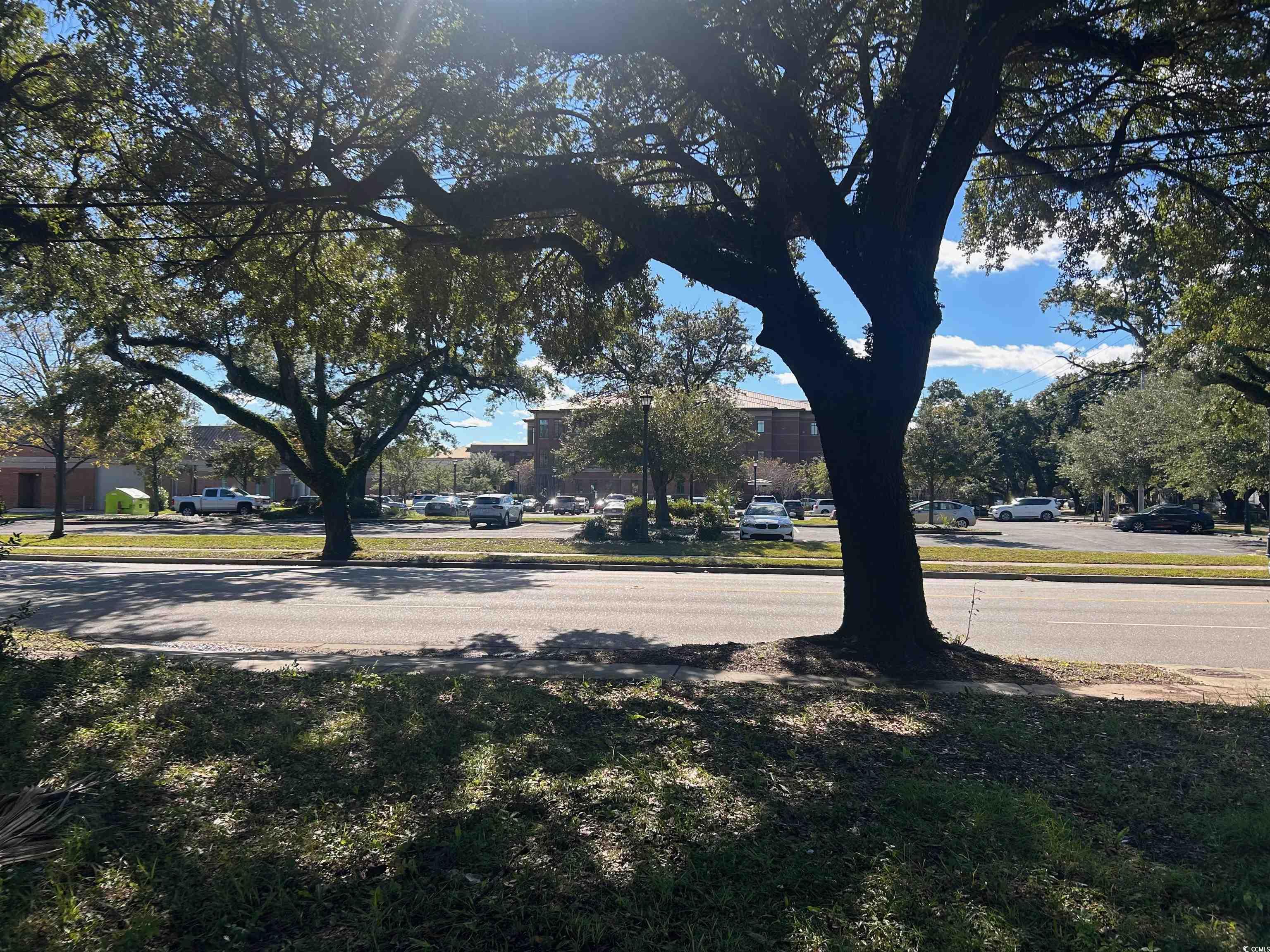 View of asphalt street with curbs and sidewalks