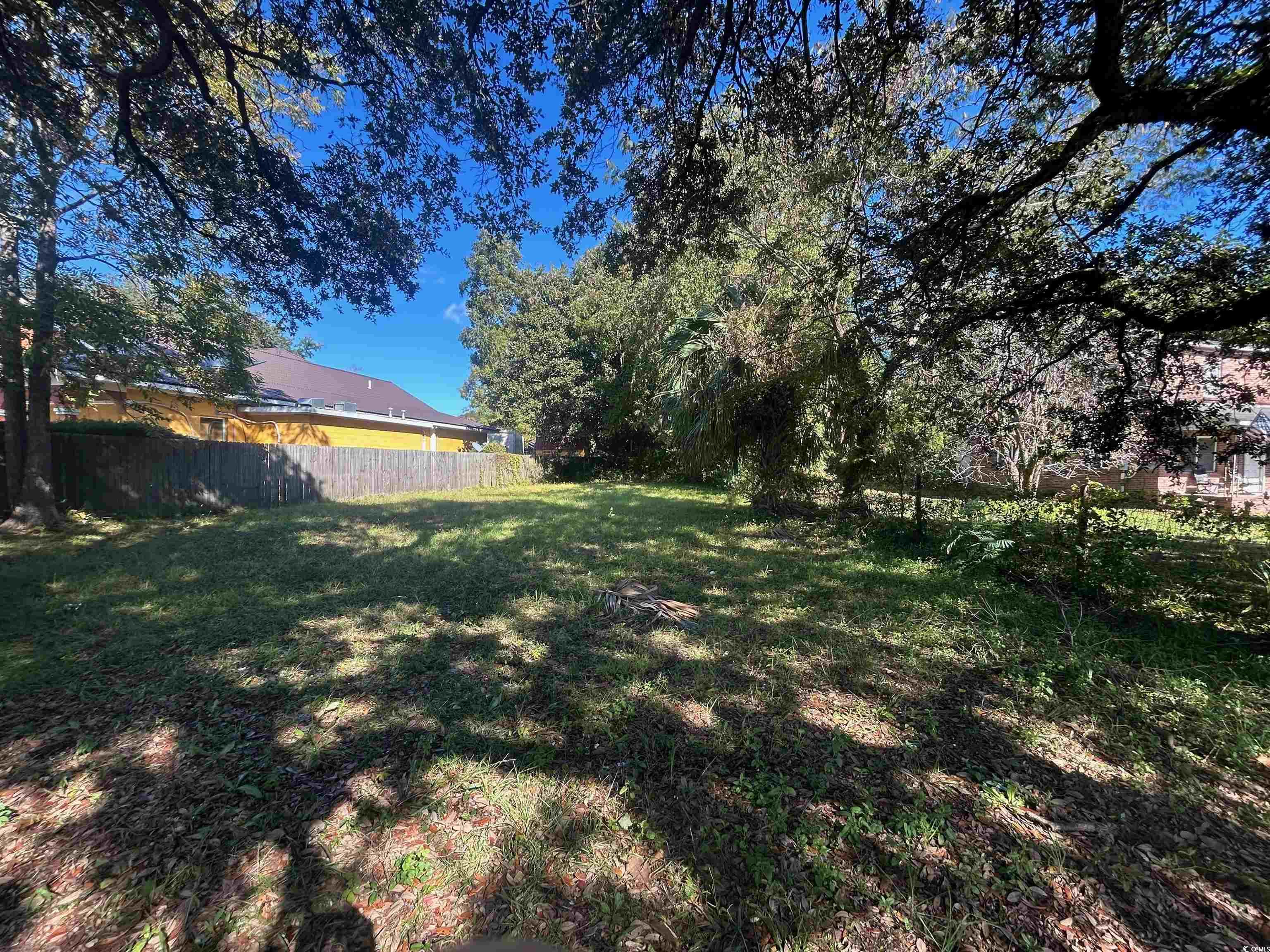 1228 Church Street Georgetown, SC 29440 - Photo 3 of 4 View of yard