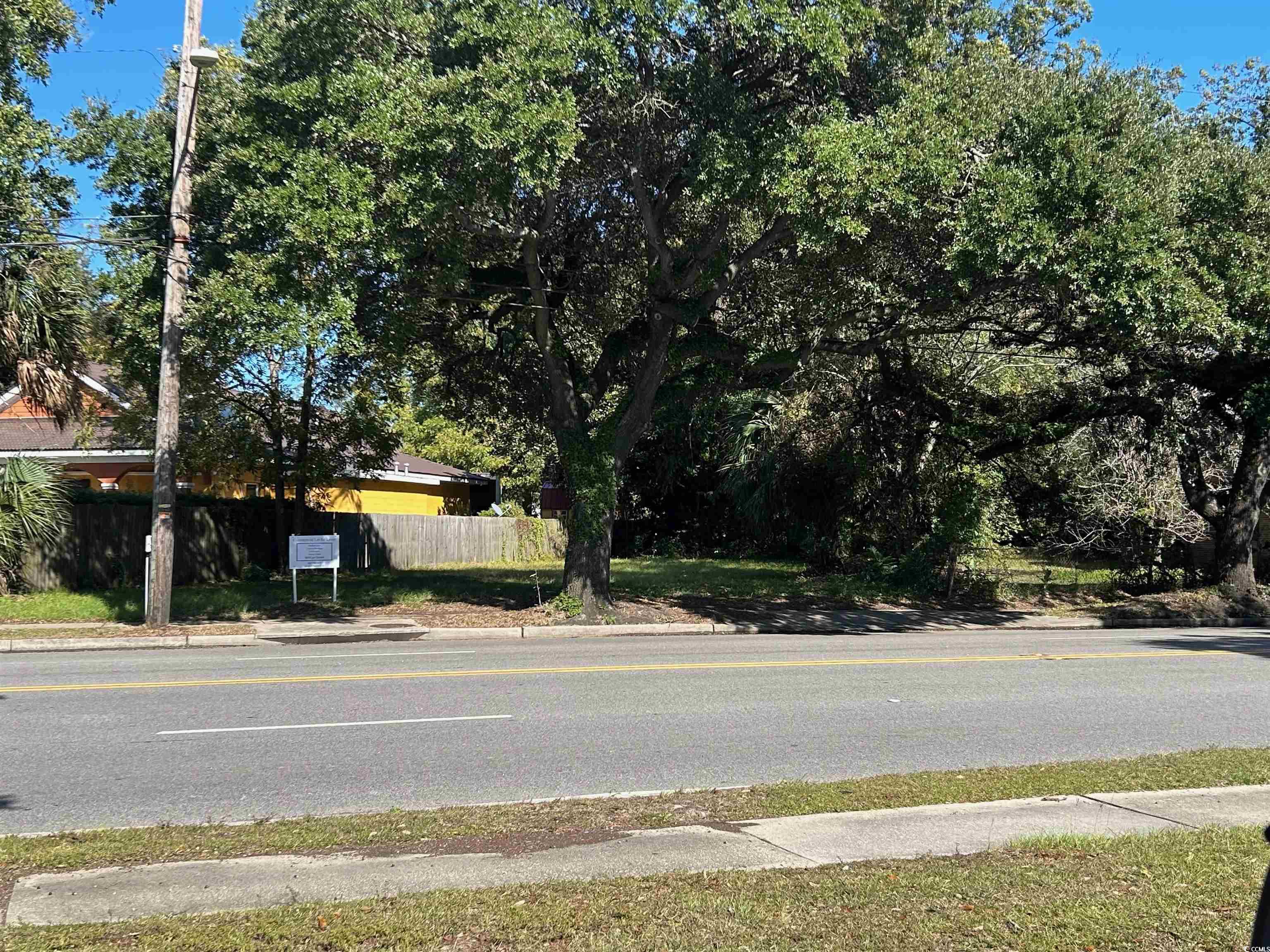 1228 Church Street Georgetown, SC 29440 - Photo 4 of 4 View of asphalt street featuring curbs and sidewalks