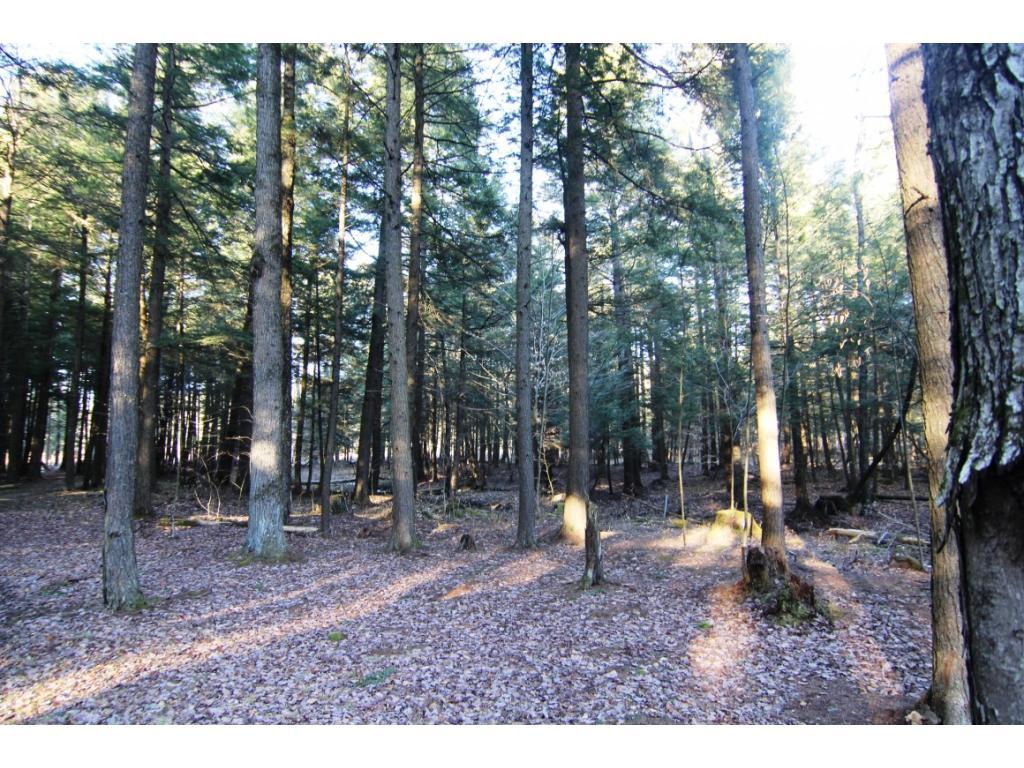 300 Cloverdale Road Chenango Forks, NY 13746 - Photo 15 of 16 Gallery Image 15