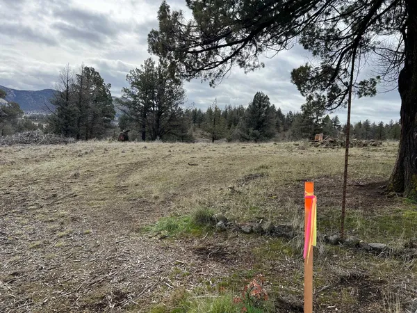 a flag is sitting in the middle of a field