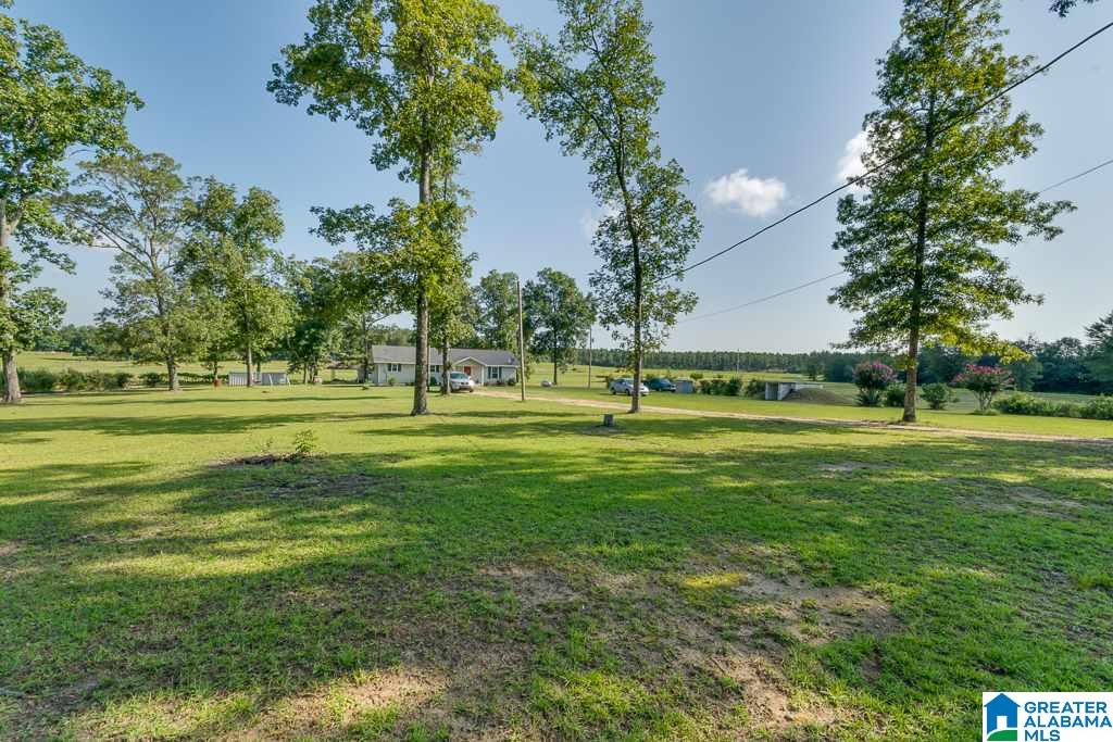 466 County Road 368 Verbena, AL 36091 - Photo 2 of 41