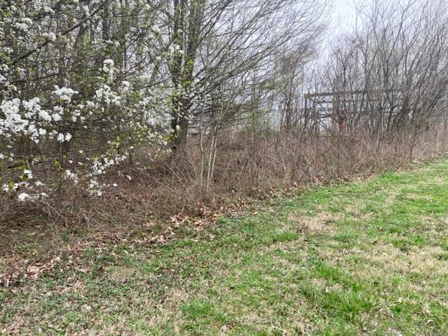 301 Wheat Road Columbia, KY 42728 - Photo 10 of 21 1258637-9