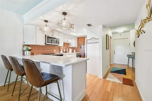 $3,600 | 411 South Bayshore Boulevard, Unit 2, Safety Harbor, FL 34695