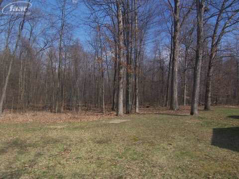 14234 North Bray Road Clio, MI 48420 - Photo 33 of 33 20398061-32.JPG