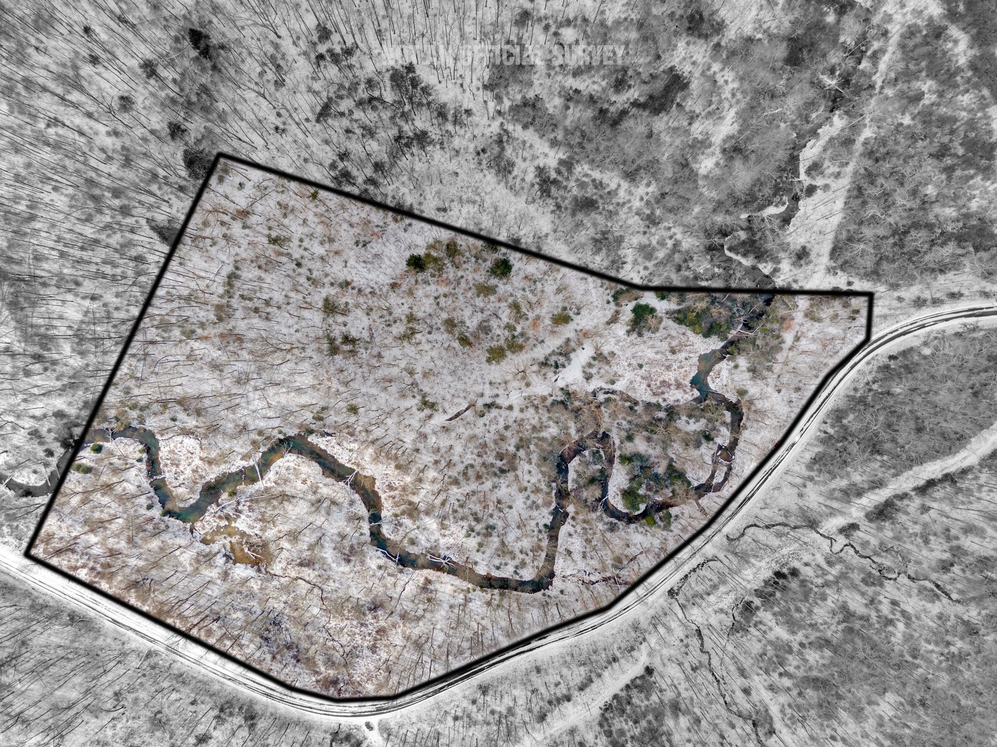 0 Glade Creek Road Sparta, TN 38583 - Photo 5 of 8 a view of wooden floor