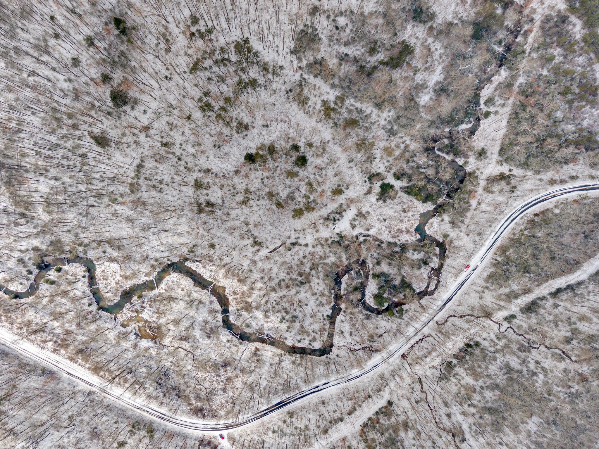 0 Glade Creek Road Sparta, TN 38583 - Photo 8 of 8 a view of a dry yard with trees