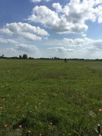 a view of an ocean and beach