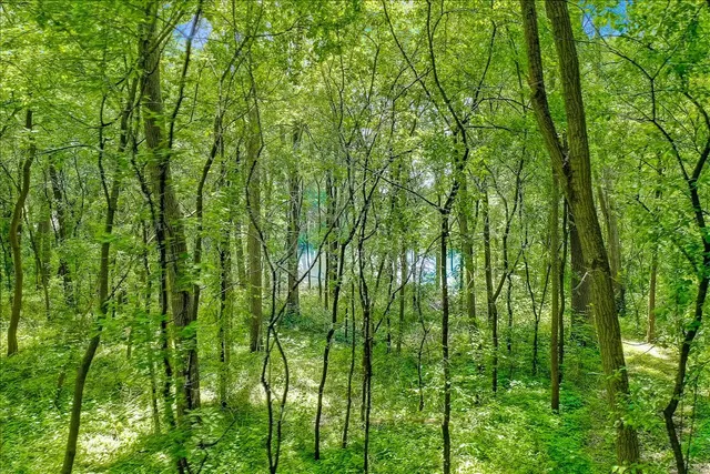 $275,000 | Lt2 Marianne Avenue, Unit CSM 11837, Big Bend, WI 53103