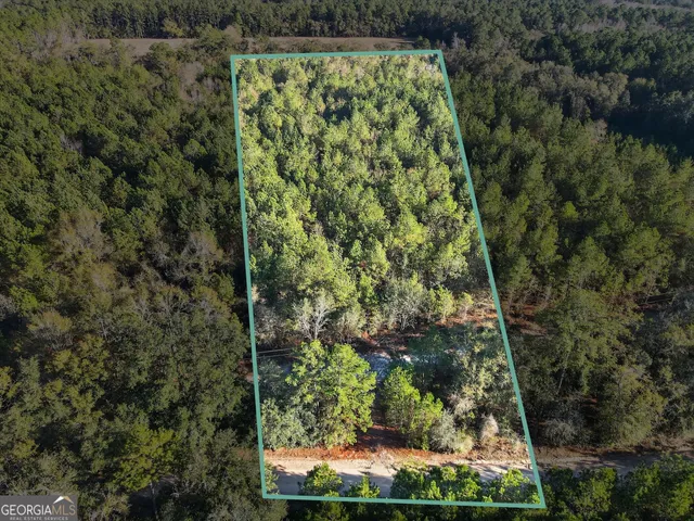 a view of a yard with plants