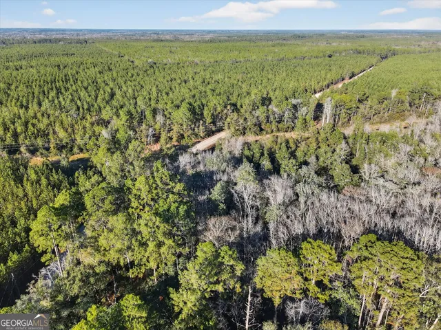 a view of a city with lush green forest