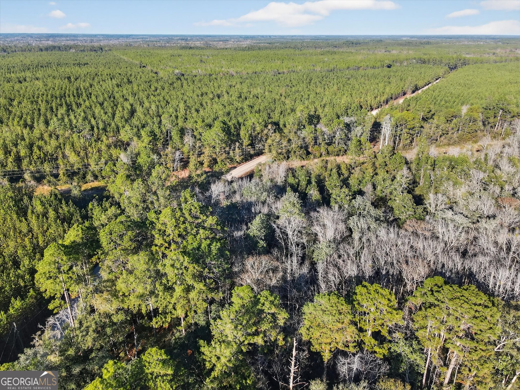 0 Beautiful Zion Cemetary Road Pembroke, GA 31321 - Photo 12 of 14 a view of a city with an ocean