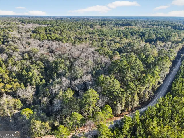 a view of a city with lush green forest