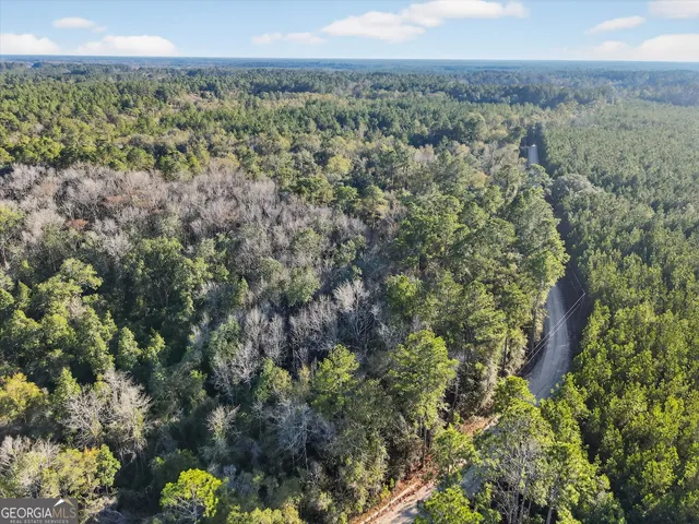 $150,000 | 0 Beautiful Zion Cemetary Road, Pembroke, GA 31321