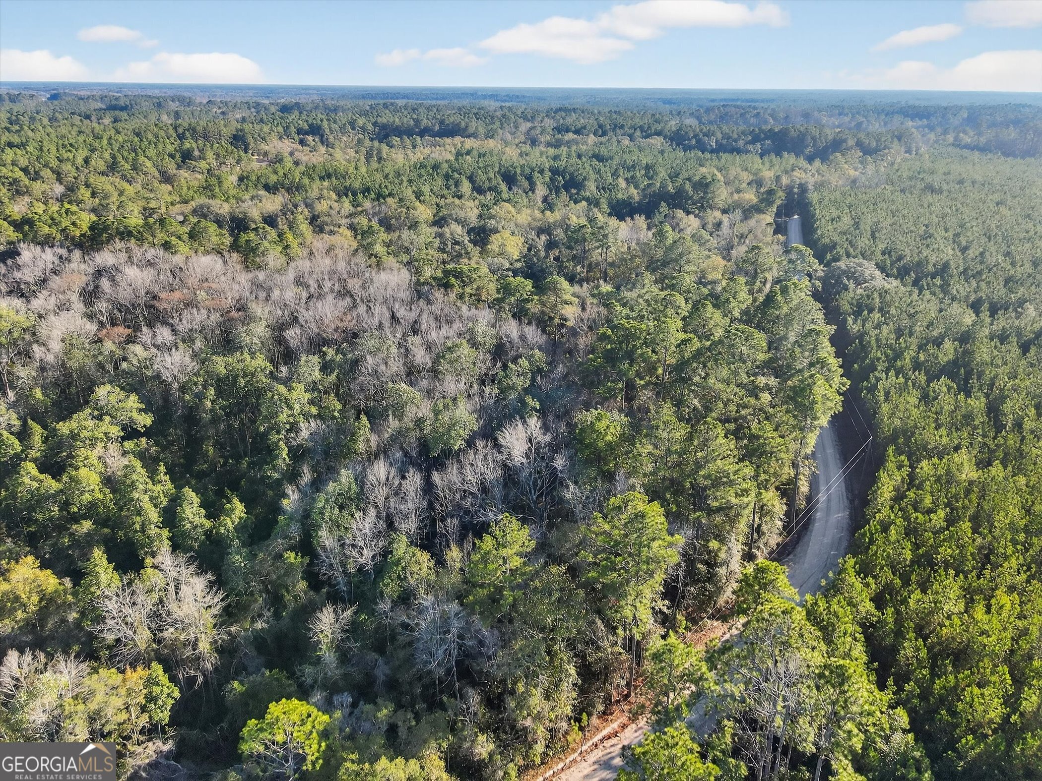 0 Beautiful Zion Cemetary Road Pembroke, GA 31321 - Photo 14 of 14 a view of a city with lush green forest