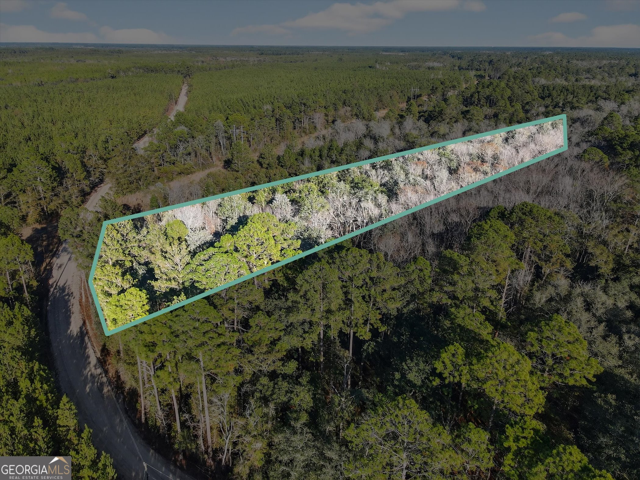 0 Beautiful Zion Cemetary Road Pembroke, GA 31321 - Photo 2 of 14 a view of a lake from a balcony