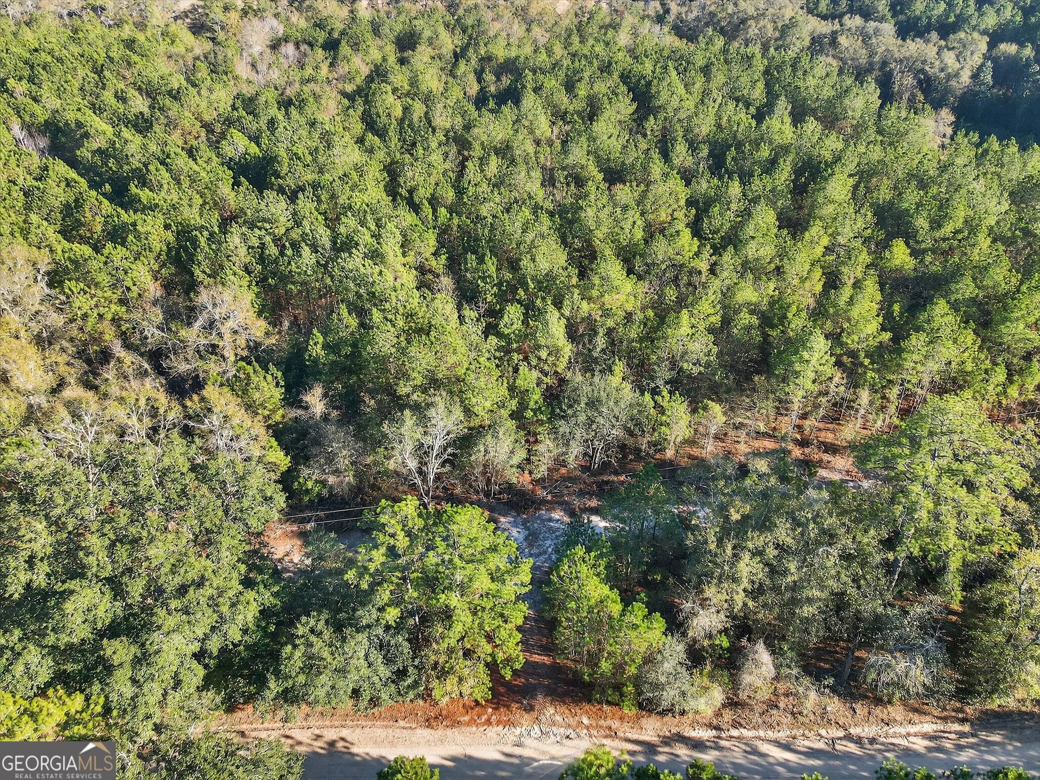 0 Beautiful Zion Cemetary Road Pembroke, GA 31321 - Photo 3 of 14 a view of a large yard with plants and tree
