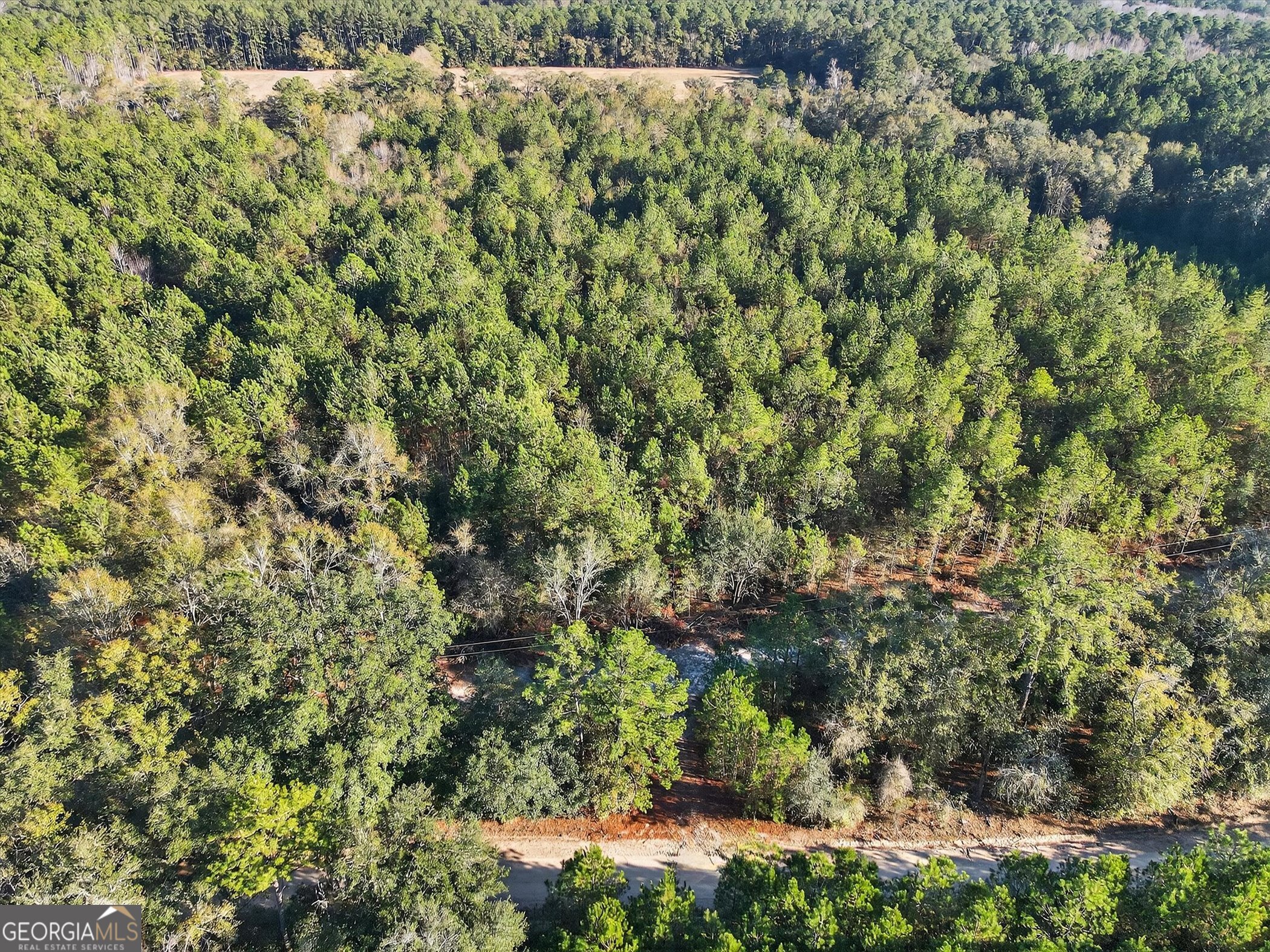 0 Beautiful Zion Cemetary Road Pembroke, GA 31321 - Photo 4 of 14 a view of a forest with a tree