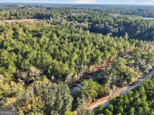 an aerial view of residential house with outdoor space and trees all around