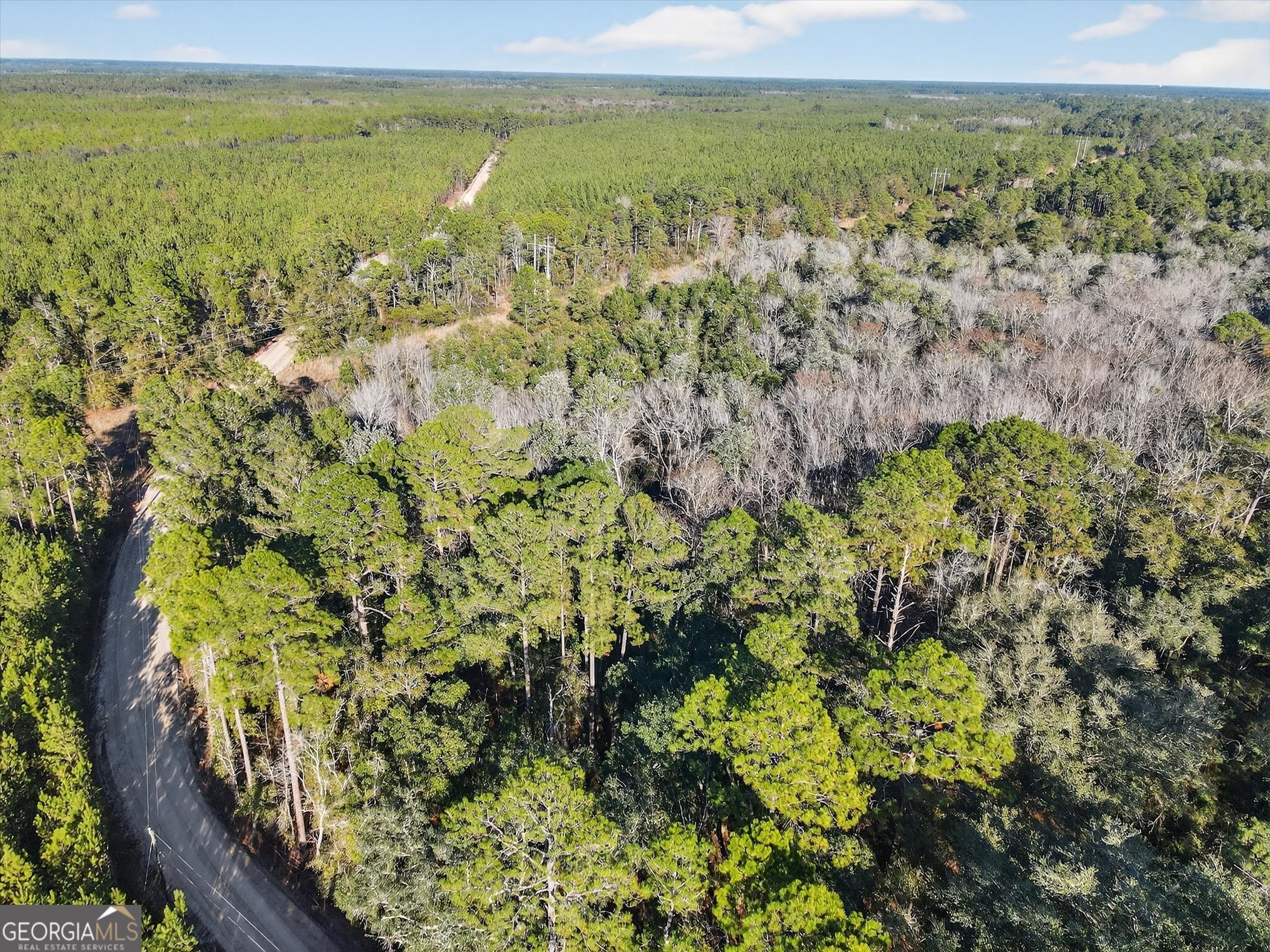 0 Beautiful Zion Cemetary Road Pembroke, GA 31321 - Photo 8 of 14