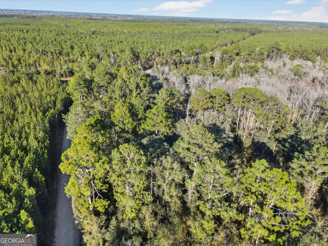 an aerial view of residential houses with outdoor space and trees