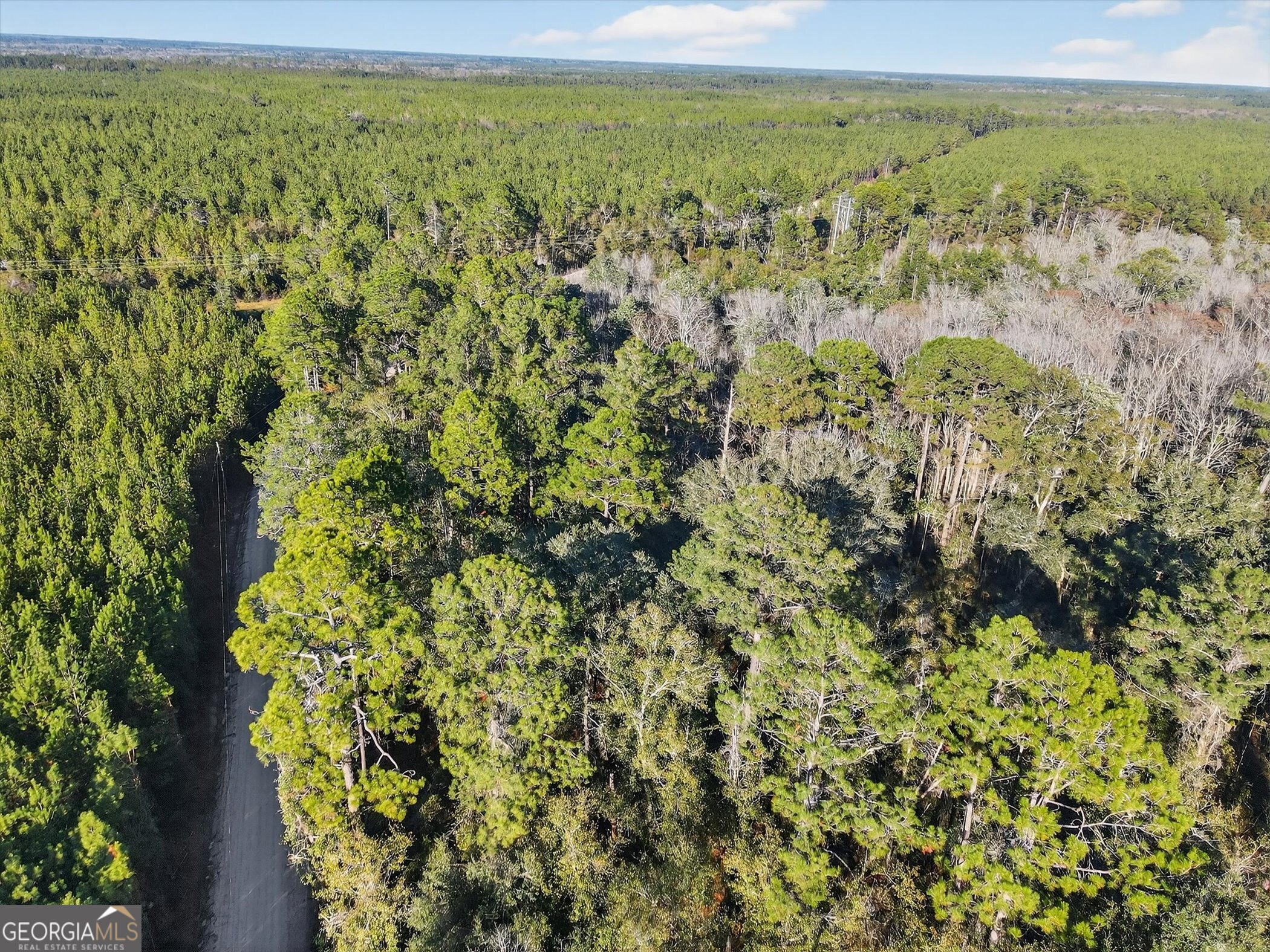 0 Beautiful Zion Cemetary Road Pembroke, GA 31321 - Photo 9 of 14 a view of a field with an outdoor space