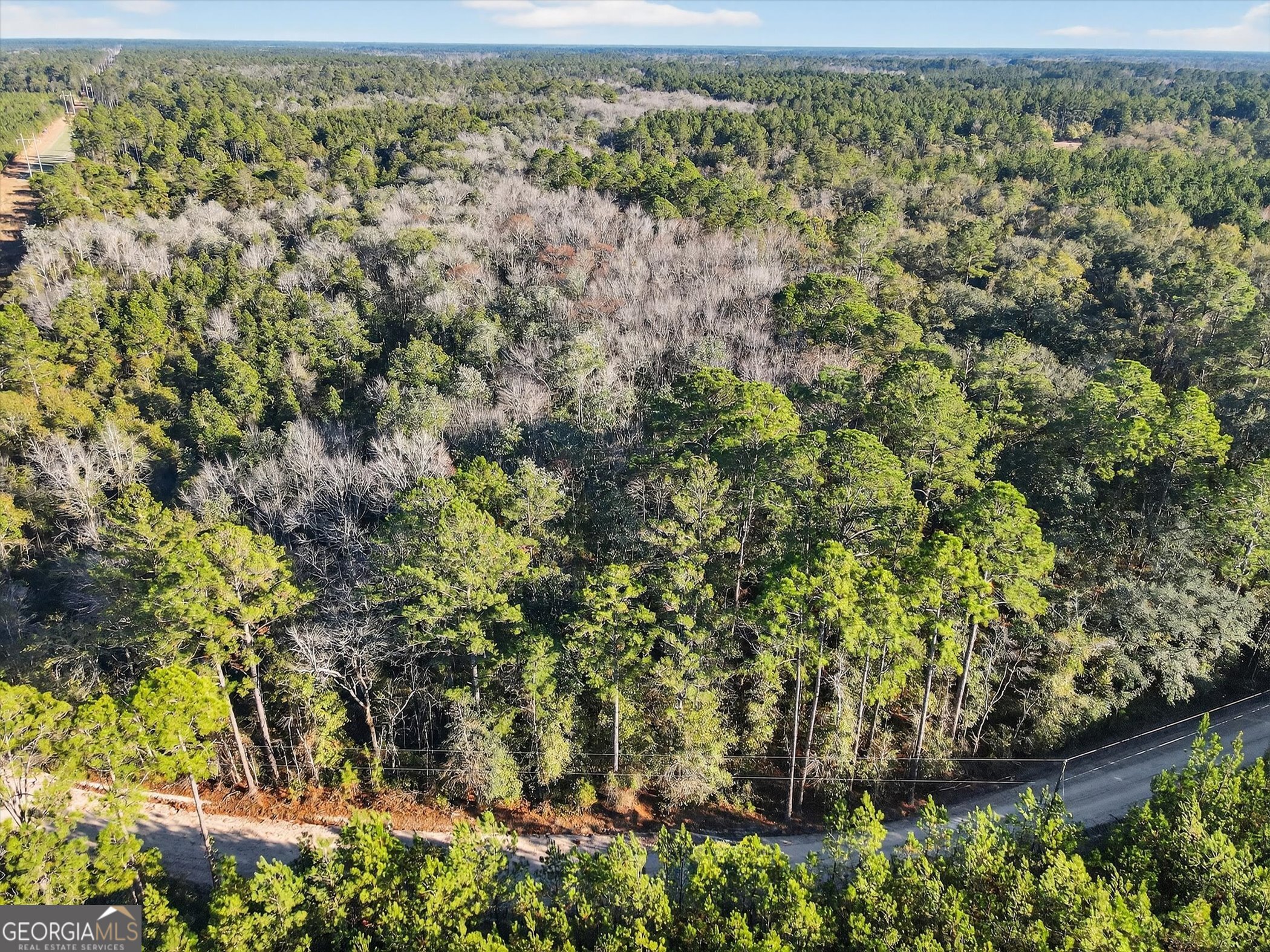 0 Beautiful Zion Cemetary Road Pembroke, GA 31321 - Photo 10 of 14 an aerial view of residential houses with outdoor space and trees