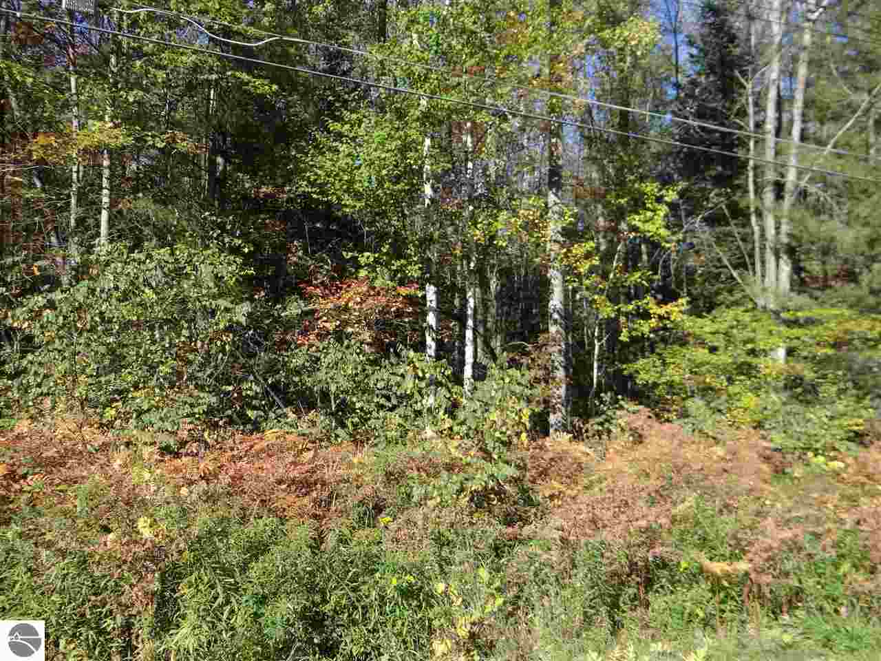 0 Scenic Road, Unit 22 & 23 Alger, MI 48610 - Photo 3 of 7