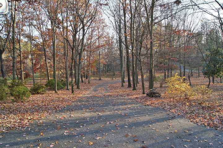 4536 Greenlee Road Southwest Roanoke, VA 24018 - Photo 2 of 33 tree-lined driveway