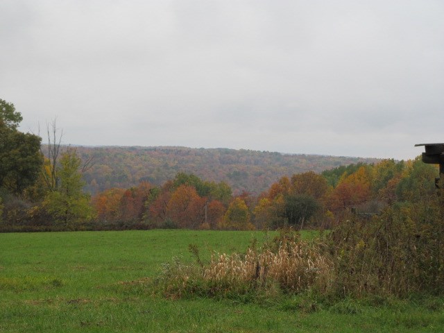 20316 Humes Hill Road Cambridge Springs, PA 16403 - Photo 1 of 1 a view of a lush green field