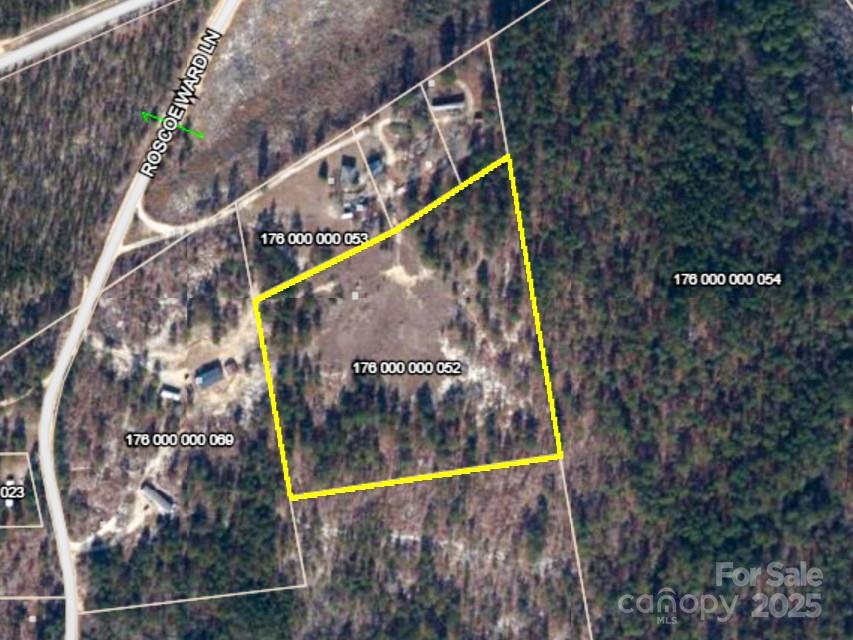 129 Roscoe Ward Lane Patrick, SC 29584 - Photo 3 of 3 a view of swimming pool