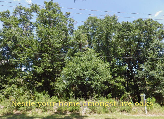 707 Jungle Road Edisto Island, SC 29438 - Photo 1 of 23 1