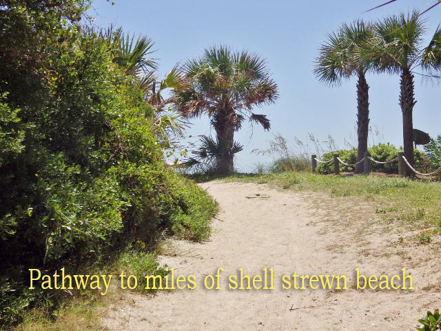 707 Jungle Road Edisto Island, SC 29438 - Photo 2 of 23 6