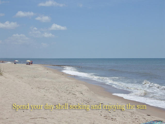 707 Jungle Road Edisto Island, SC 29438 - Photo 11 of 23 10