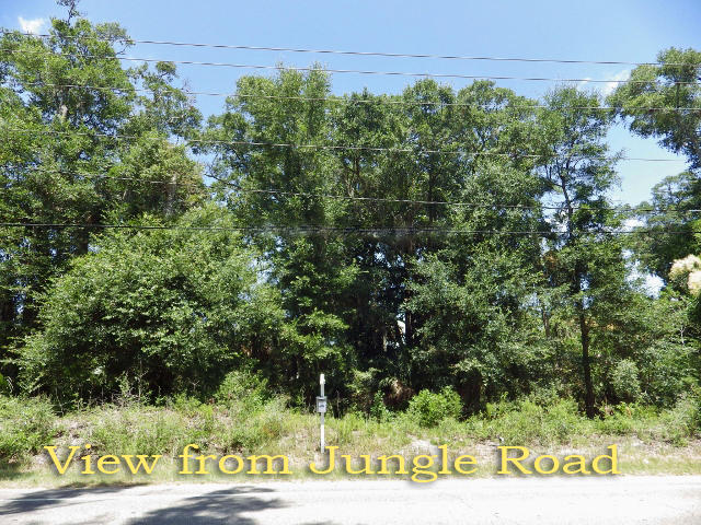 707 Jungle Road Edisto Island, SC 29438 - Photo 3 of 23 2