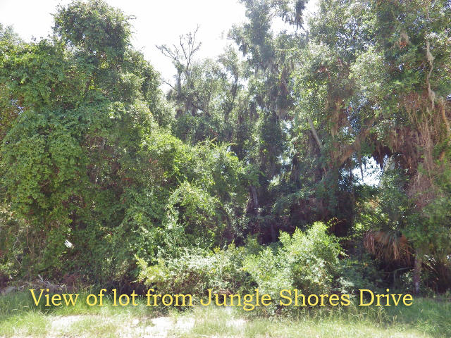707 Jungle Road Edisto Island, SC 29438 - Photo 5 of 23 3